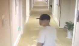 汪大爷被爆料视频,揭秘背后惊人真相