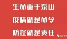 海安肺炎疫情最新爆料,追踪病毒变异与防控措施强化